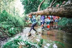 BIB: 
                            <button type="button" onclick="openModal(25515233)" class="btn btn-primary btn-sm float-right btn-popup" data-toggle="modal" data-target=".modal-high-quality">
                        <i class="fas fa-shopping-cart"></i> Add to Cart
                    </button>
                                            <button type="button" onclick="isThisMe(25515233, true)" class="btn btn-success btn-sm float-right btn-popup btn-isme hidden" data-toggle="tooltip" data-placement="bottom" title="นี่คือรูปของคุณใช่ไหม คลิกที่นี่เพื่อเอาเข้าอัลบั้ม">
                        <i class="fas fa-plus"></i> Add to album
                    </button>
                    <button type="button" onclick="isThisMe(25515233, false)" class="btn btn-warning btn-sm float-right btn-popup btn-isnotme hidden">
                        <i class="fas fa-ban"></i> Remove from album
                    </button>